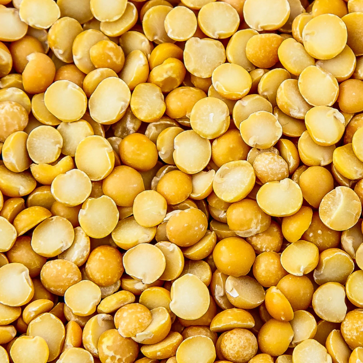 Pellet mąki grochowej